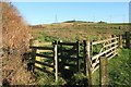 Kissing gate