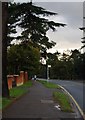 Bus stop on Ashford Rd