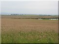 Wetland, Vane Farm