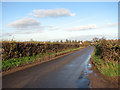 Approaching Morley St Botolph on Golf Links Lane