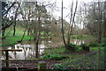 Pond by the footpath over The Lilk