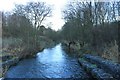 Downstream from the footbridge.