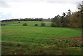 Rural view near Barty Farm