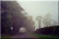 N1336 : Castledaly Manor - R444 on a foggy morning by Joseph Mischyshyn