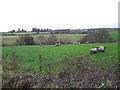 Corranarry Townland