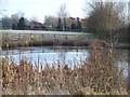 Pond near Castle Farm