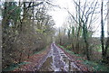 Crismill Lane looking north