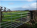 Gateway into field, on the A5033