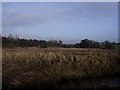 Flood Plain, Luggie Water.