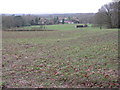 Westerly view across fields from footpath south to Loxwood