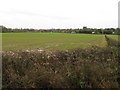 Water logged field north of Loxwood