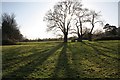 Fields east of the railway