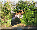 Pink cottage behind high hedge