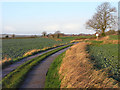 Farm-road, Houghton