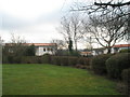 Winter in the recreation ground in Credenhill Road