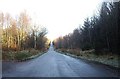 Road through Inverury Wood