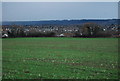 Looking towards the suburbs of Maidstone