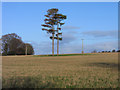 Farmland, Broughton