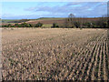 Farmland, Houghton