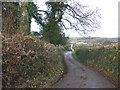 Country lane, south of East Ogwell