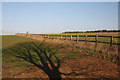 Paddock fencing at Mount Farm