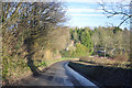 Approaching bend - Llantrithyd