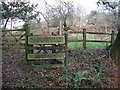 Moldrams Ground nature reserve, Pen Selwood