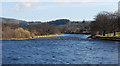 The River Spey from Victoria Bridge, Aberlour.