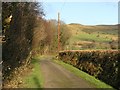 Country road to farm houses