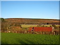 Small barn at Tredinneck