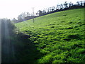 Public Footpath to Reads Hill Farm