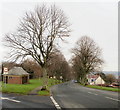 Looking down Allt-yr-yn Avenue from Ridgeway, Newport