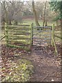 Giat fochyn yng Nghoed Gloddaeth / A kissing gate in Gloddaeth Woods