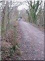 Worth Way near Crawley Down, West Sussex (3.75miles from East Grinstead)