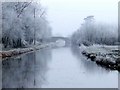 Barrow Bridge in Frost