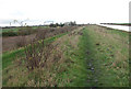 TL5681 : View north-east along the Fen Rivers Walk by Evelyn Simak