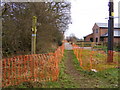 Path through Cranmoor Lodge