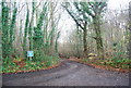 Track to Greater Puckstone Farm off Stodmarsh Rd