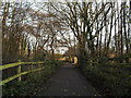 Early winter on the path from the M3 underpass to Birch Close