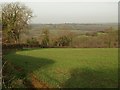 Field beside Wickington Lane