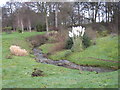 Floral garden and stream near Cliffe Cottages