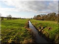 Countryside at Cloughfin