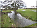 Forcett Beck in spate near Eppleby