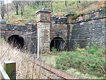 NS2071 : Inverkip railway tunnels by Thomas Nugent