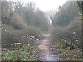 Wood clearance, former railway line, Ullesthorpe