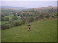 NZ0003 : Upper Arkengarthdale from the bridleway above Windegg Lane by Karl and Ali
