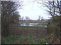 Gate to waterlogged field, Hillam Common Lane