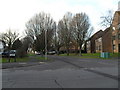 Looking from Oakmount Road into Hillcrest Avenue