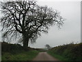 Road south from Ducksmoor Cross