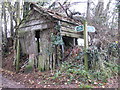 SS9707 : Derelict shed near Butterleigh by Sarah Charlesworth